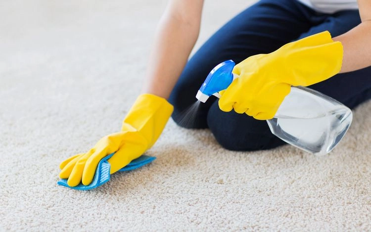 Flecken auf Teppichen entfernen mit Glasreiniger - ein No-Go