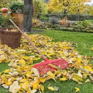 Gartenarbeit im Herbst - Die wichtigsten Aufgaben