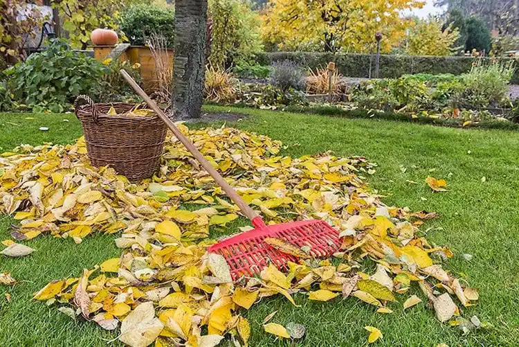 Gartenarbeit im Herbst - Die wichtigsten Aufgaben