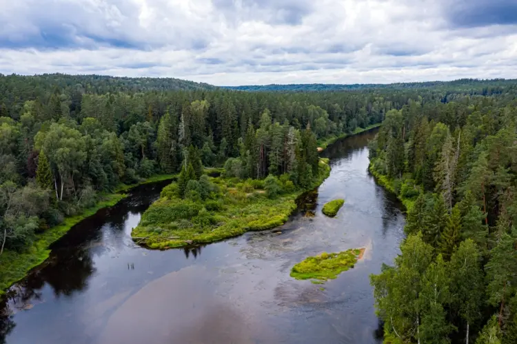 Gauja-Nationalpark in Lettland für Wanderungen in der Natur