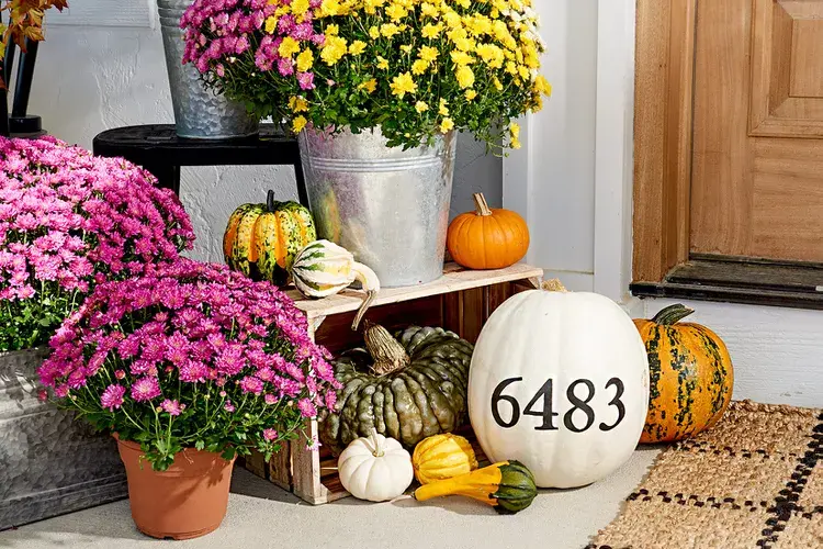 Hausnummer auf Kürbis aufgeschrieben Deko für Hauseingang mit Blumen