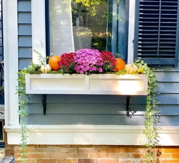 Herbstdeko für Blumenkasten mit Kürbissen und Chrysanthemen