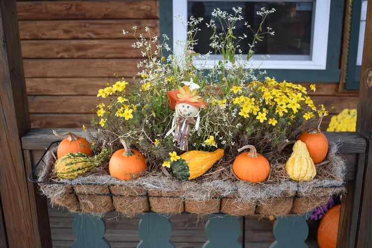 Herbstlich Balkonkasten dekorieren Ideen mit Vogelscheuche