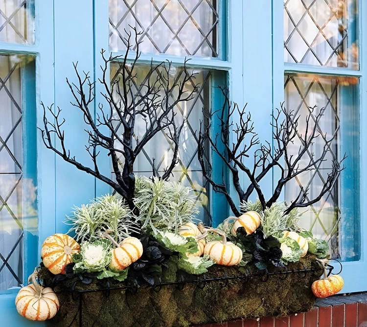 Herbstliches Arrangement mit Halloween-Flair aus Zweigen und schwarzen Sukkulenten