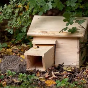 mit eigenen vorräten ein geeignetes häuschen aus holz für igel im garten aufstellen