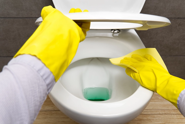mit sauberem tuch und gängigen hausmitteln vergilbte toilettenbrille reinigen können
