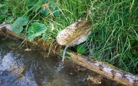 optimale wassernutzung im regengarten ermöglichen und versickerungsmulde gestalten mit natursteinen