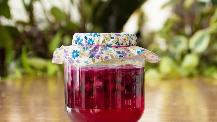 rote trauben in einem glas mit gaze fermentieren lassen und daraus traubenlikör selber machen rezepte