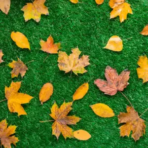 auf verschiedene art und weise herbstlaub auf dem rasen im garten nutzen