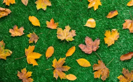 auf verschiedene art und weise herbstlaub auf dem rasen im garten nutzen