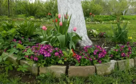 baumsheiben bepflanzen obstbäume wie apfelbaum oder birnenbaum mit tulpen oder anderen blumen verzieren