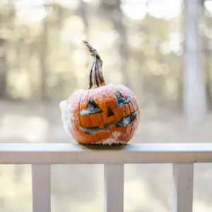 bei minustemperaturen und schnee halloween kürbis schimmelt auf einer gartenterrasse