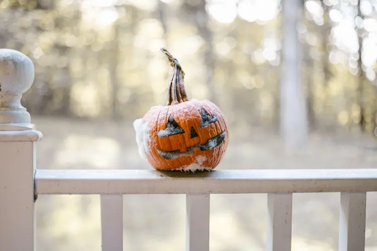 bei minustemperaturen und schnee halloween kürbis schimmelt auf einer gartenterrasse