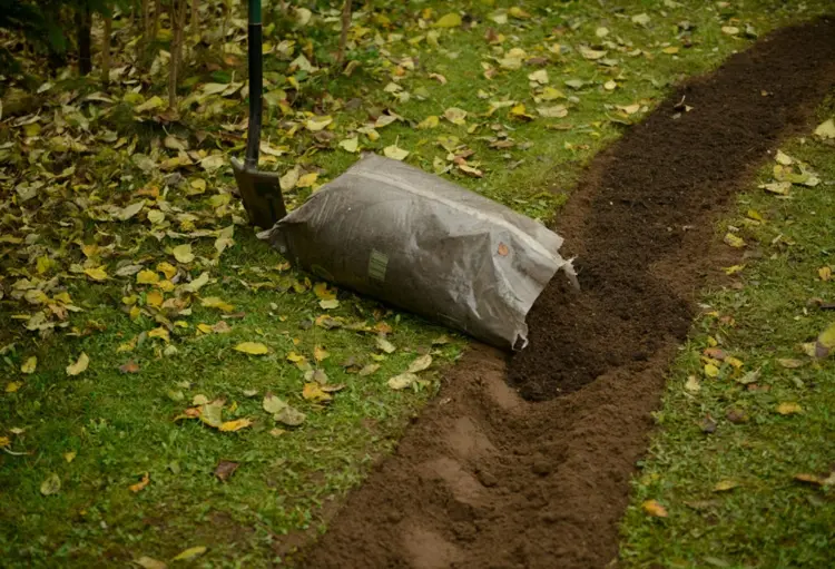 Boden lockern, umgraben und verbessern nach der Heckenbeseitigung