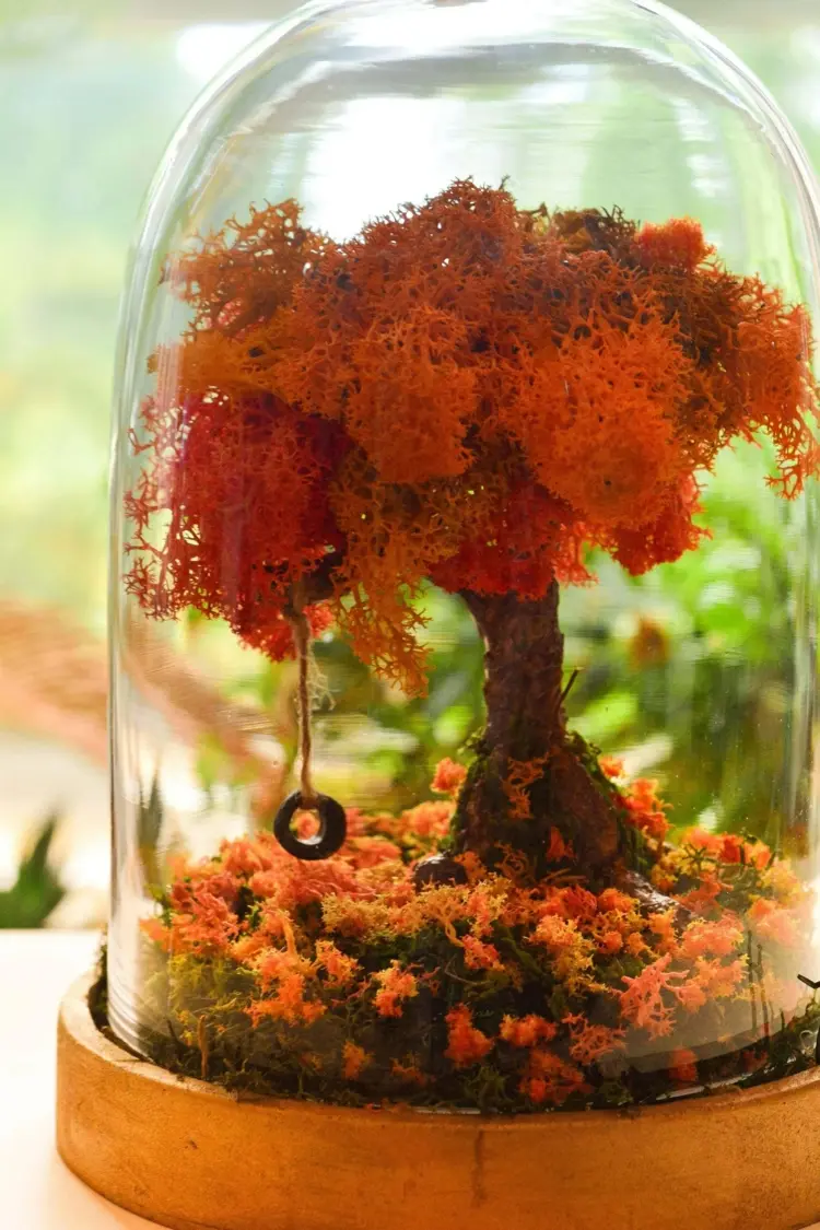 Deko mit Naturmaterialien im Glas - Herbstbaum mit Islandmoos unter einer Glasglocke