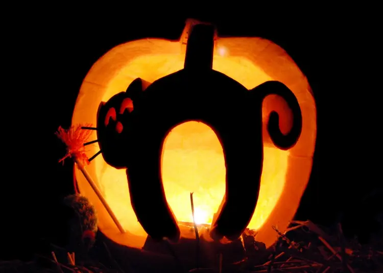 einfache dekoidee mit halloweenkürbis mit katzenbuckel