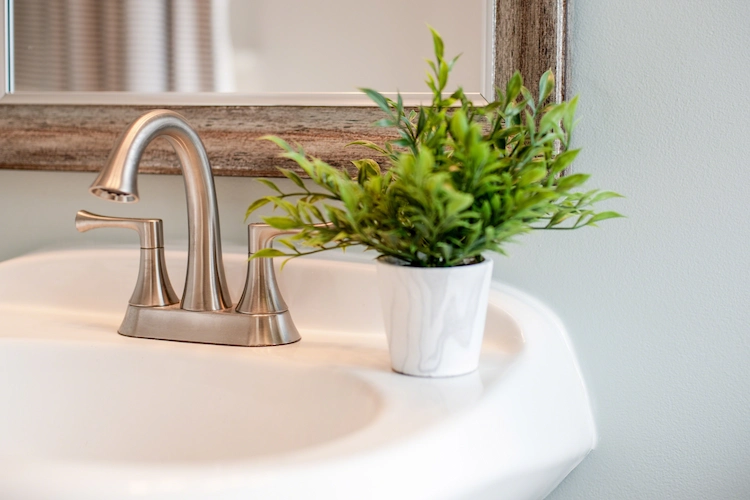 geeignete Pflanzen für Badezimmer ohne Fenster gedeihen ohne aufwändige Pflege
