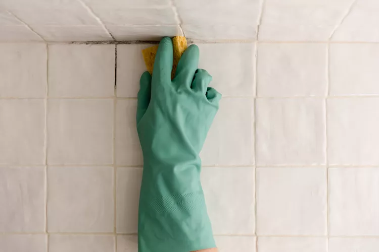 geflieste bereiche im badezimmer bei schimmelbefall mit bleiche reinigen