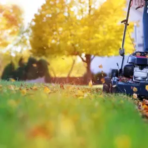 Gesunder Rasen im Herbst - Mähen Sie weiter, aber in der richtigen Höhe