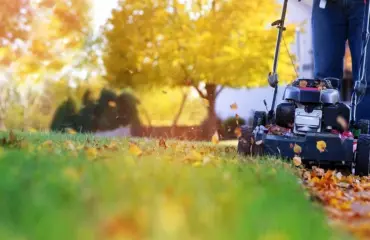 Gesunder Rasen im Herbst - Mähen Sie weiter, aber in der richtigen Höhe