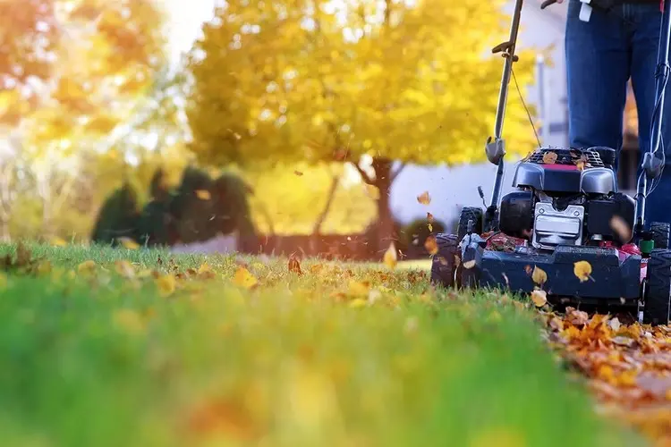 Gesunder Rasen im Herbst - Mähen Sie weiter, aber in der richtigen Höhe