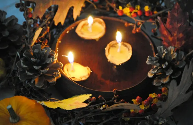 Herbstdeko für den Garten - Schwimmende Kerzen in Walnüssen für Dekoschalen