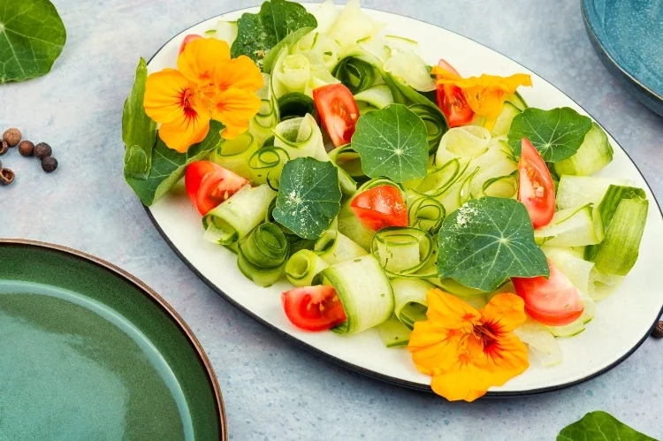 kapuzinerkresse zum salat hinzufügen essbare blüten und blätter