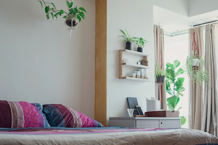 minimalistische gestaltung mit pflanzen für schlafzimmer mit geringer pflanzenpflege