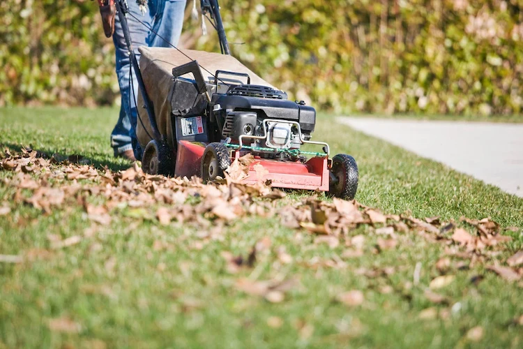 mulchmäher oder normalen rasenmäher mit mulchmesser bei dichtem herbstlaub auf dem rasen einsetzen