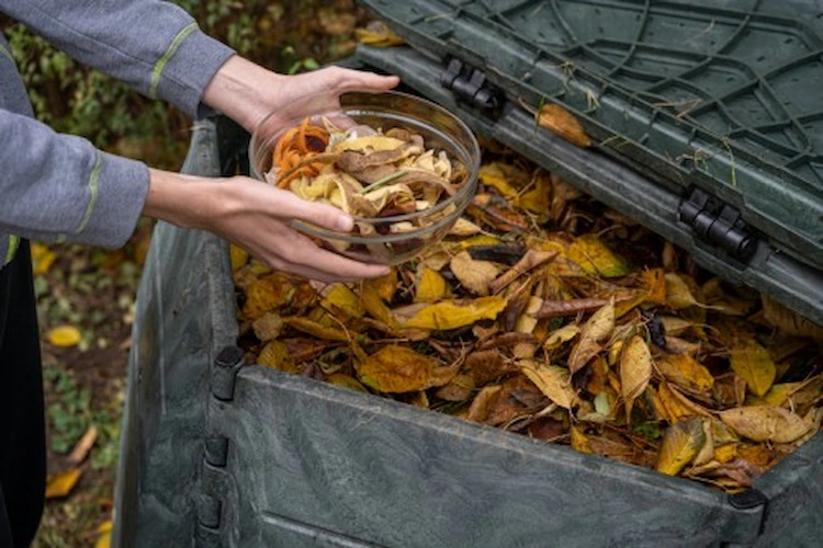 nachhaltige verwendung von herbstblättern bei der kompostierung im garten für nährstoffreiche düngemittel