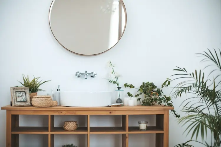 nassräume beleben und pflanzen für badezimmer ohne fenster wählen