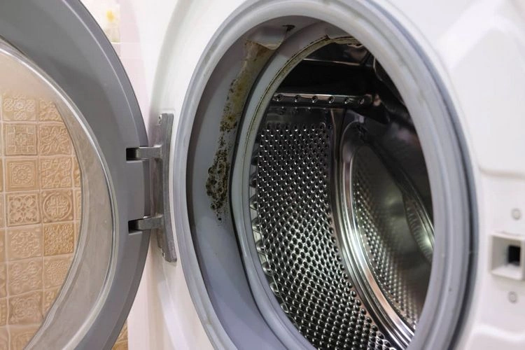 potenziell unsaubere waschmaschine