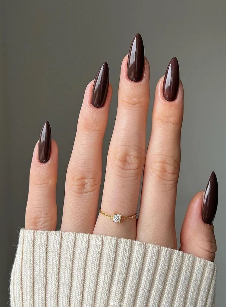 schlichte dark chocolate nails