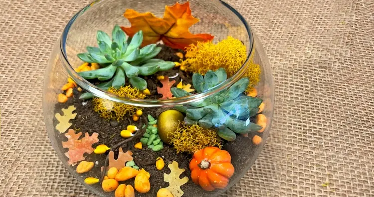 Schöne Herbstdekoration mit Sukkulenten, gelbem Moos und Blättern