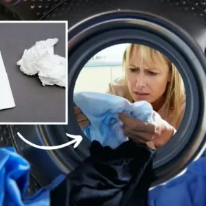 Was tun wenn Taschentuch in der Waschmaschine gewaschen wird