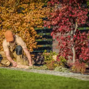 welche gartenarbeiten soll man im november erledigen