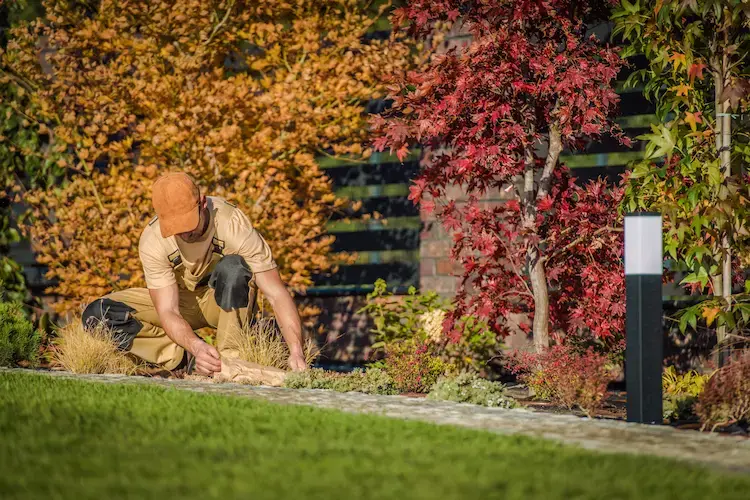 welche gartenarbeiten soll man im november erledigen