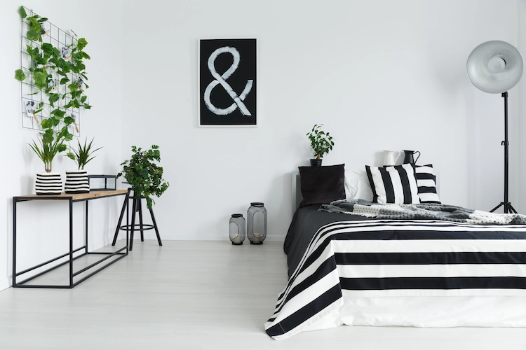 zu farben wie schwarz und weiß passende grüne pflanzen für schlafzimmer wählen