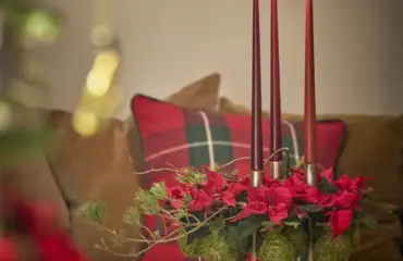 adventskranz auf einer baumscheibe selber machen mit moos und weihnachtssternen