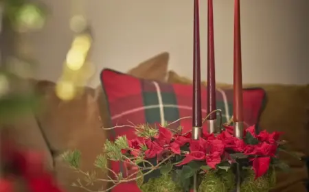 adventskranz auf einer baumscheibe selber machen mit moos und weihnachtssternen