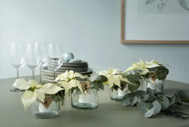 adventskranz mit eukalyptus selber machen im glas weiße weihnachtssterne und led teelichter