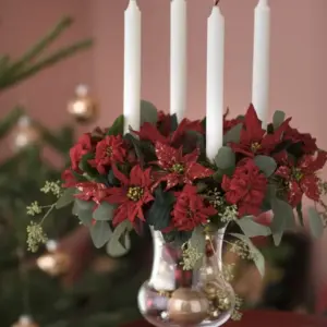 adventskranz mit eukalyptus selber machen rote weihnachtssterne und stabkerzen