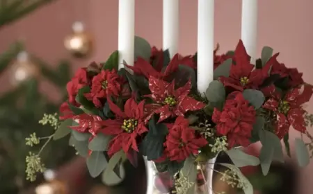 adventskranz mit eukalyptus selber machen rote weihnachtssterne und stabkerzen