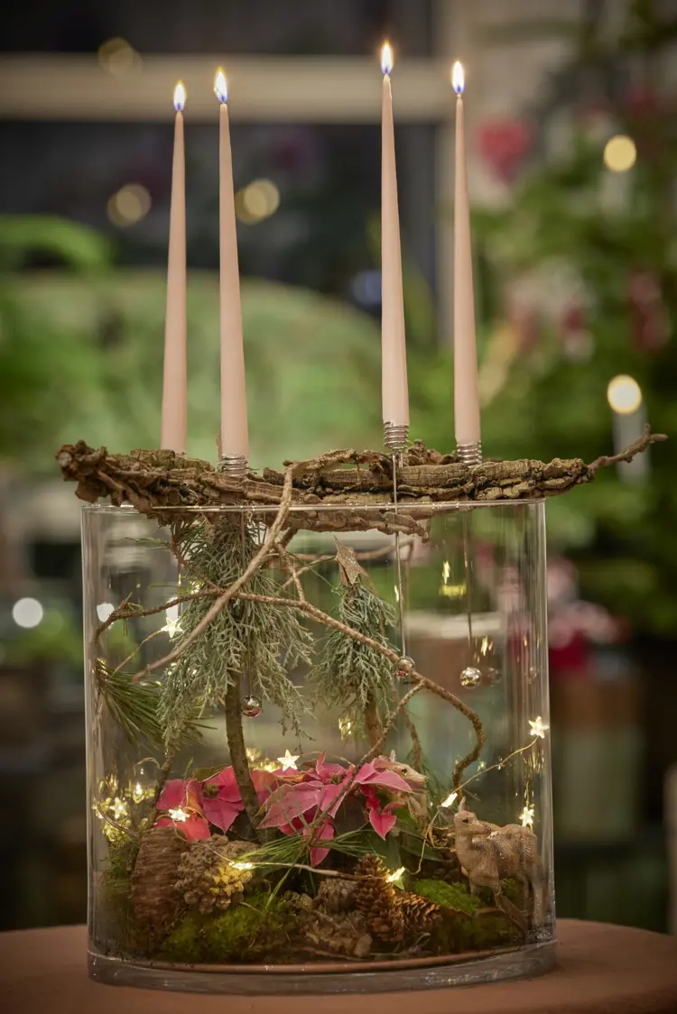 adventskranz selber machen im terrarium mit moos, rinde und lichterkette
