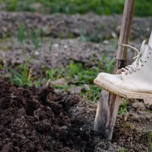 durch wintervorbereitung des gartenbodens mit umgraben gemüsebeete im spätherbst pflegen