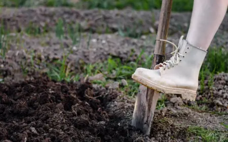 durch wintervorbereitung des gartenbodens mit umgraben gemüsebeete im spätherbst pflegen