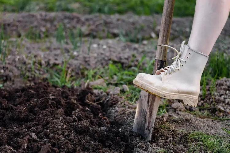 durch wintervorbereitung des gartenbodens mit umgraben gemüsebeete im spätherbst pflegen