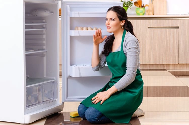 gerüche aus dem kühlschrank mit kaffee entfernen
