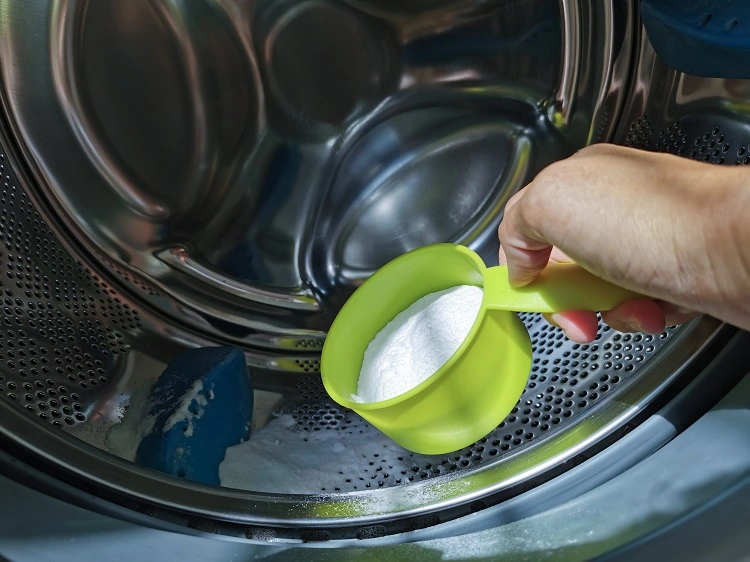 geschirrspüler und waschmaschine reinigen und deodorieren