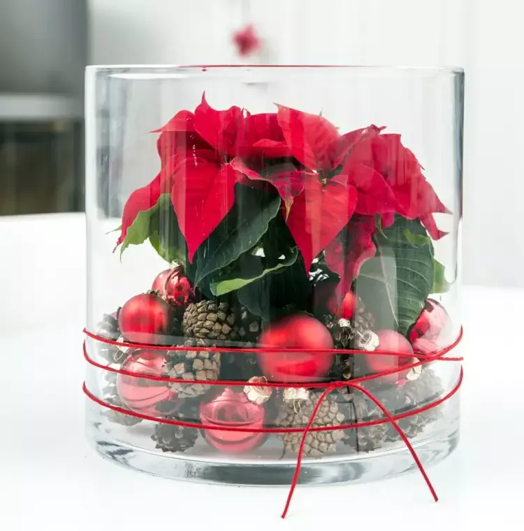 glasdeko für weihnachten zum selbermachen mit weihnachtsstern, christbaumkugeln und zapfen